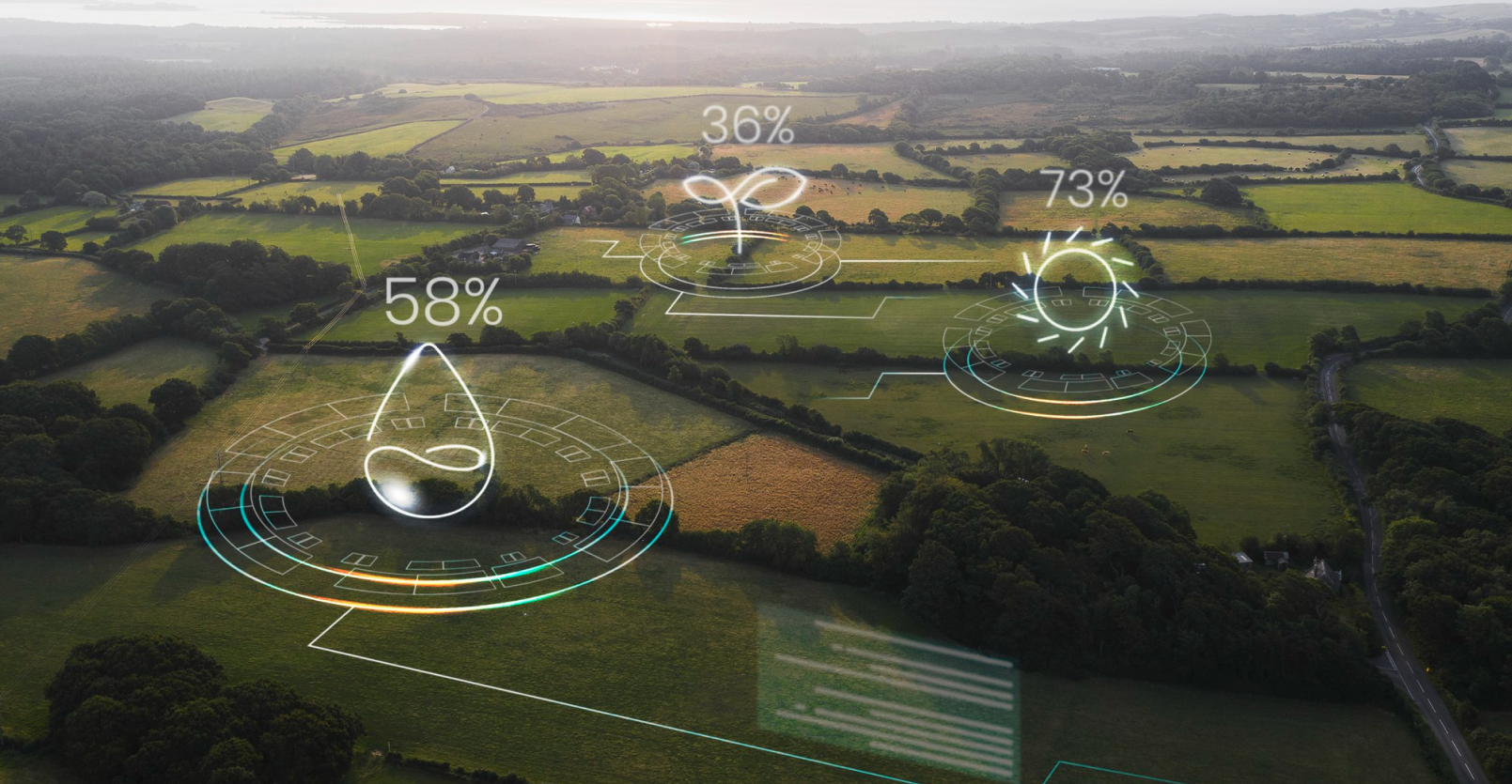 Environmental Monitoring